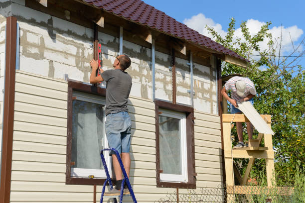 Best Stone Veneer Siding  in Hooper, NE